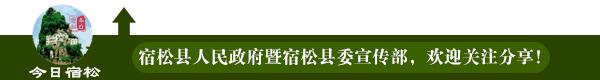 产业带动精准脱贫,宿松特色产业助农增收