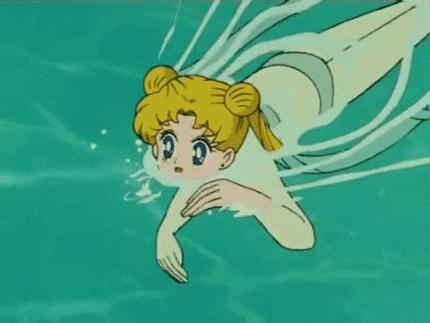 观赏川剧,采摘桑葚和观看马戏表演