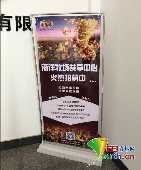 山东威海传销曝光,威海传销案件最新消息名单