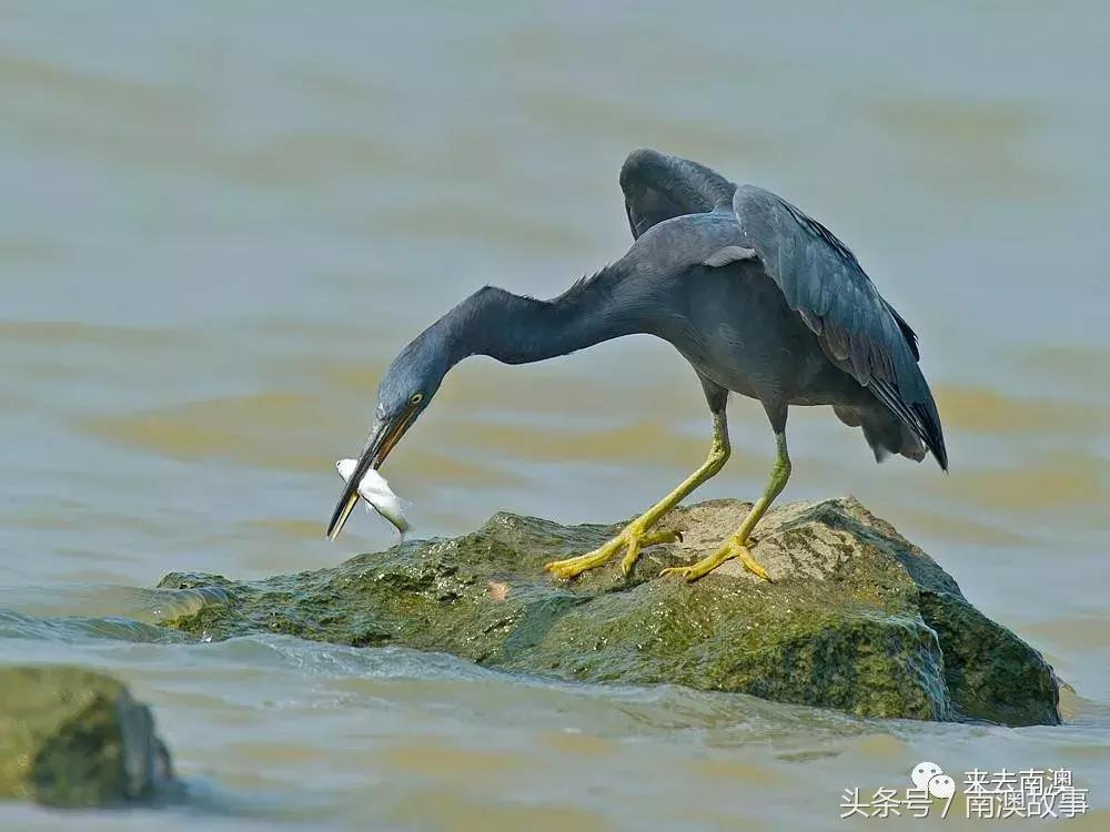 这座小岛究竟隐藏了多少秘密,一座鲜为人知的隐藏小岛