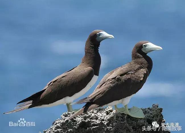 这座小岛究竟隐藏了多少秘密,一座鲜为人知的隐藏小岛