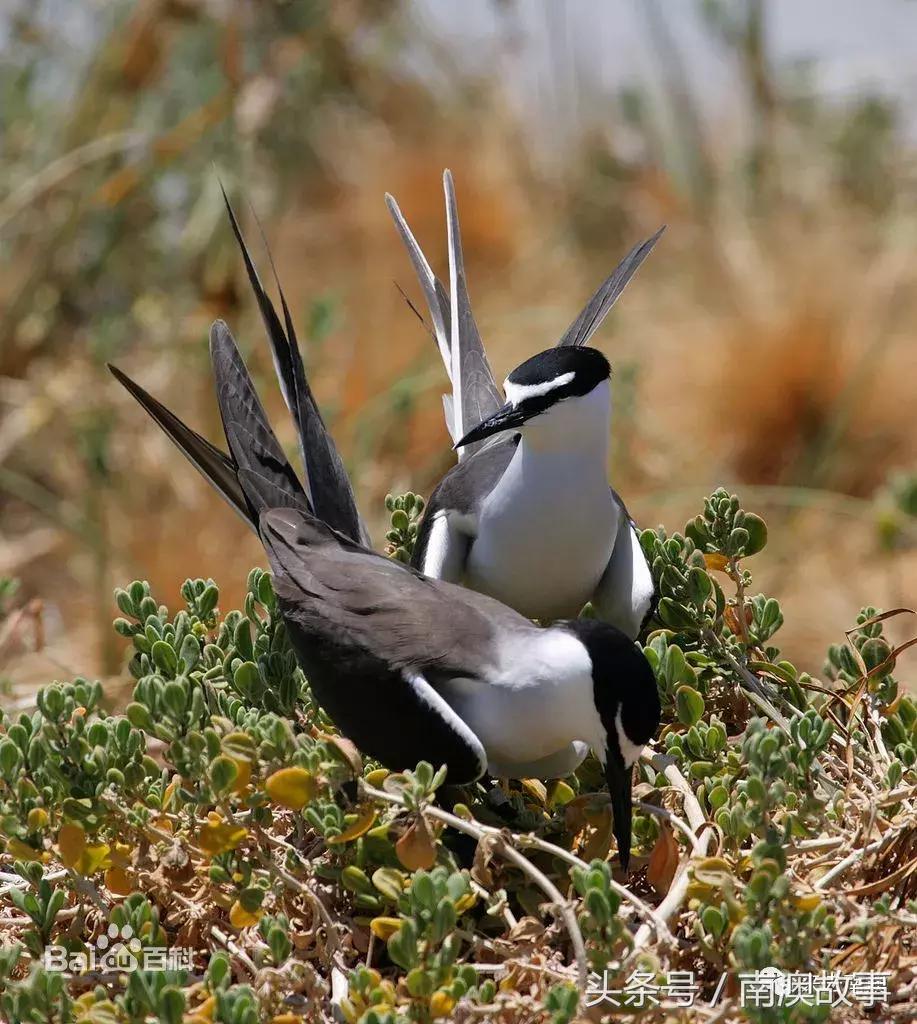 这座小岛究竟隐藏了多少秘密,一座鲜为人知的隐藏小岛