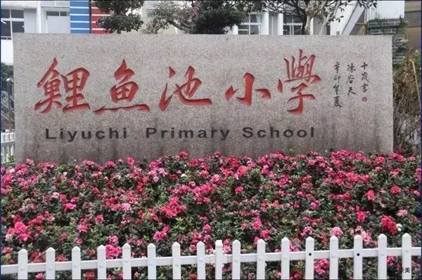 重庆渝中区求精中学对口小学,重庆实验外国语学校对口小学