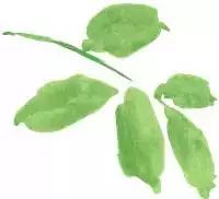 珠海妇幼保健院最新事件,珠海市新妇幼保健院