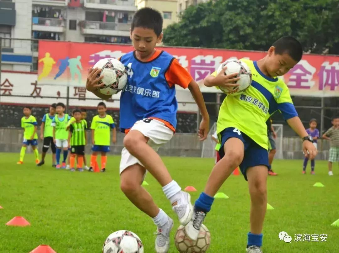 不用钱的夏令营,不要钱的夏令营