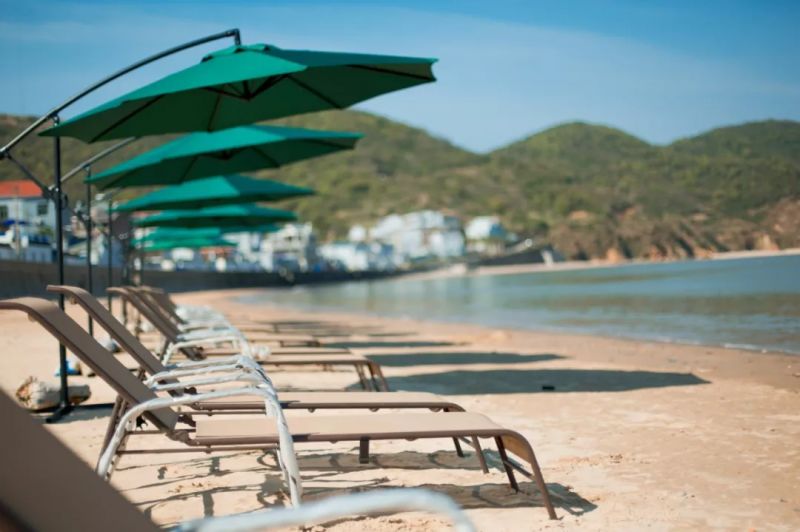 今日入伏……一起去宜兴周边这个50块就能玩转的东方“小荷兰”吧