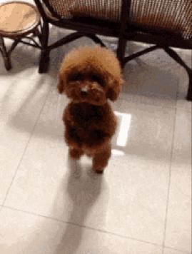 憋尿对膀胱的危害有多大,憋尿把膀胱憋炸了有什么症状