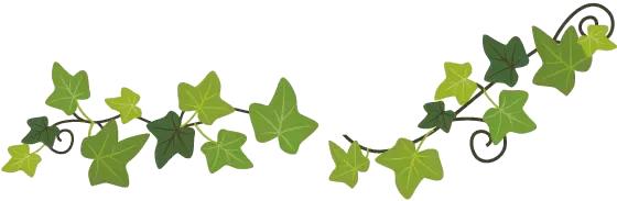 面膜究竟有没有用,面膜有医用的吗