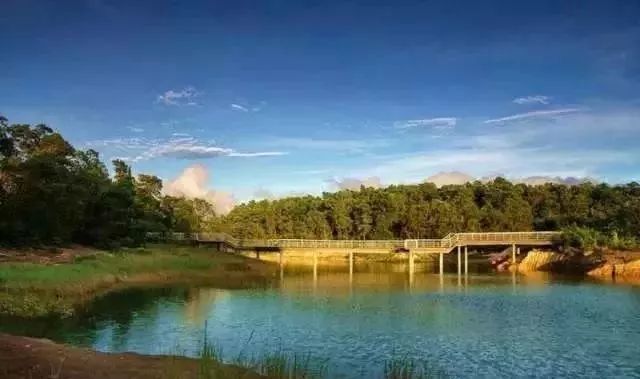 深圳免费景区一览表,深圳国际艺术博览会免费门票