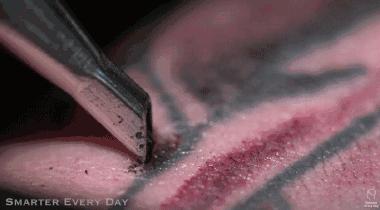 汽车纹身你见过吗,纹身和摩托车