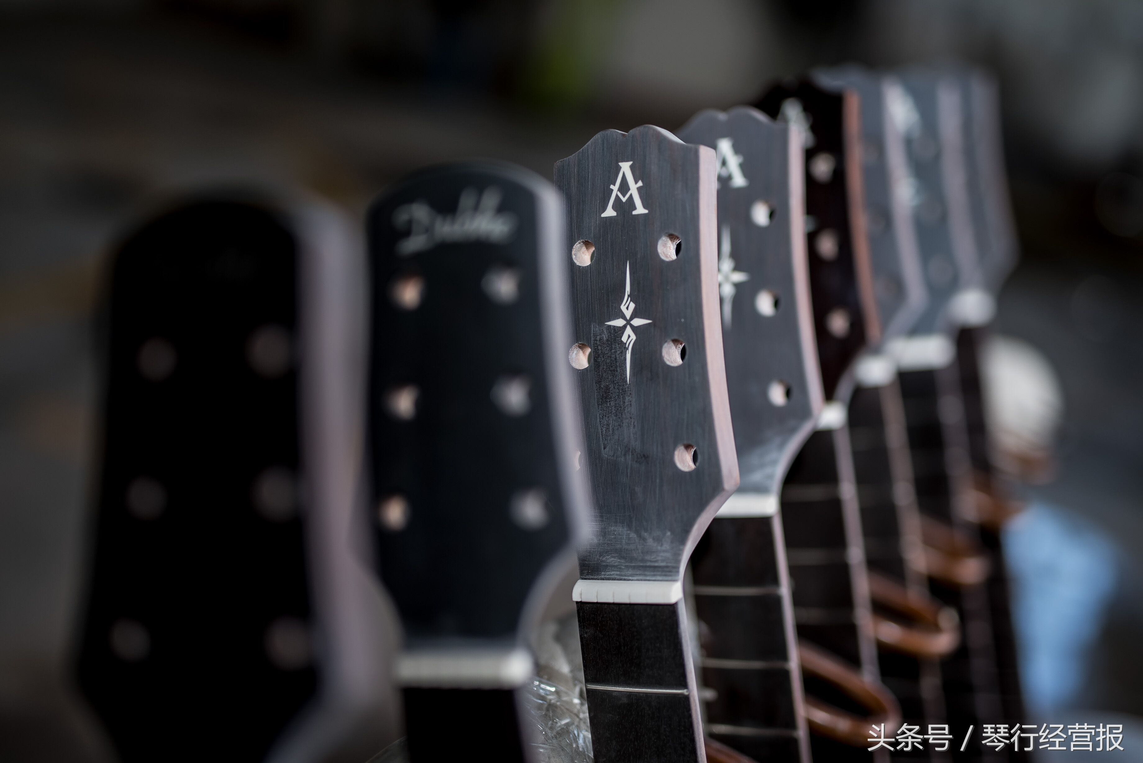 世界地图就是奥森吉他的原材料版图