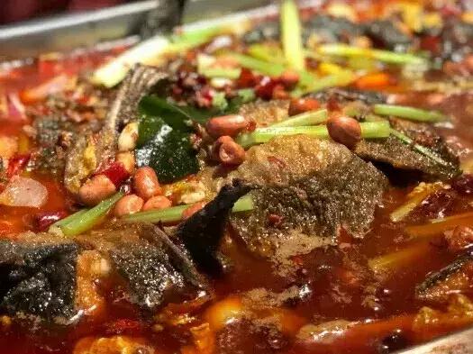 济南历下区半天妖烤鱼,济南小草屋诸葛烤鱼