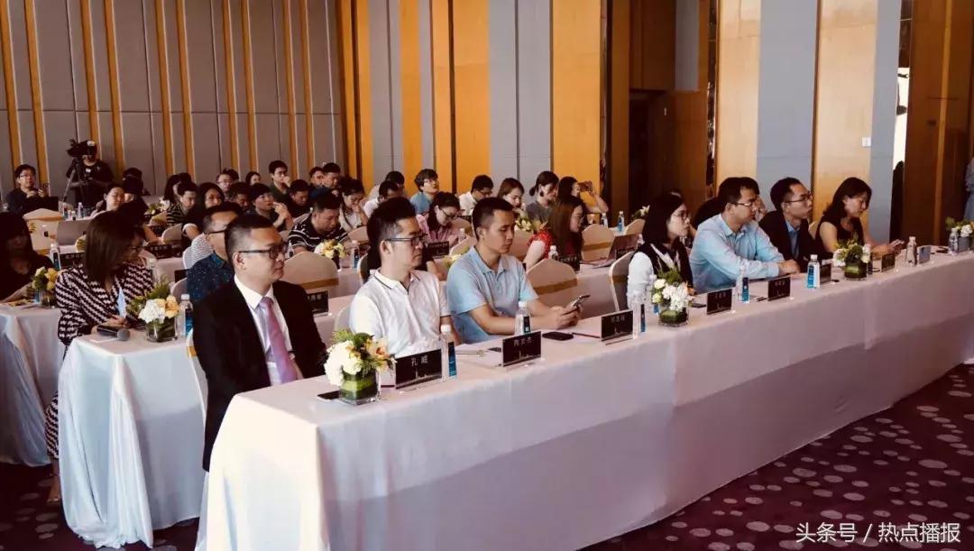 王道荡荡，势不可挡！环深大发展蓝图下的战略宝藏浮出水面！