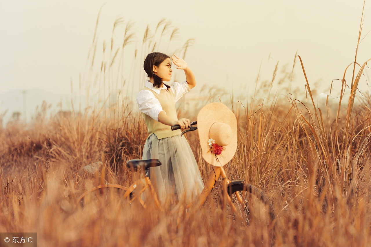 网购成为主流的原因,网购是社会进步还是退步