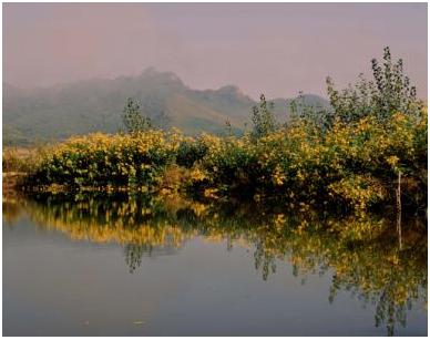 百首诗赞拉法山,百首诗作