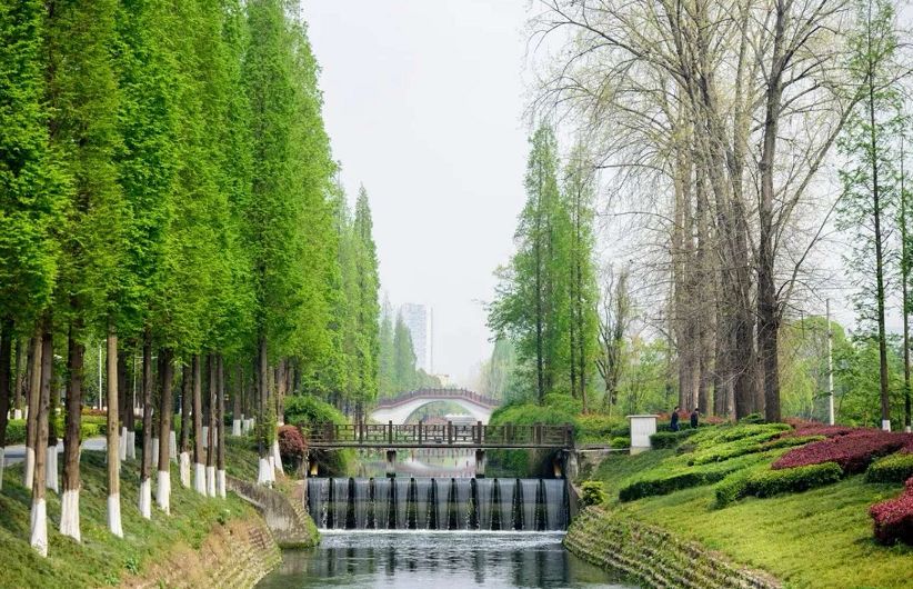 空中连廊、街角绿地、活力乐园……成都高新串起269公里风景线