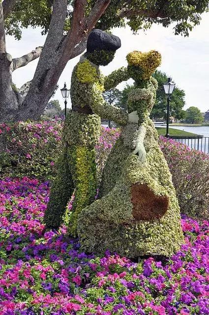 今天7月19，太美了！绝美送给群里好友！看完心情大好~