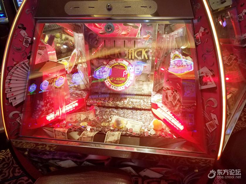 坐豪华游轮,坐豪华游轮是什么体验