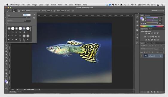 请列举至少八种常用的ps快捷键,用ps设计常用的快捷键有哪些
