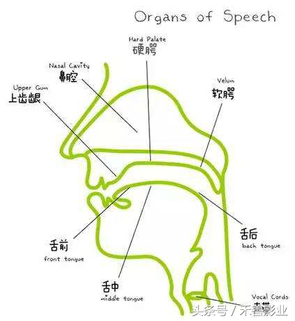 nl不分纠正发音的正确手法有两种,普通话考试nl不分还能矫正嘛