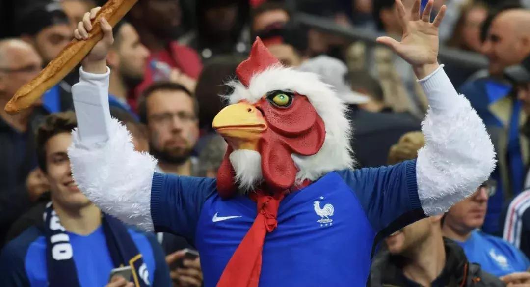 法国国家队球衣队徽下的字,法国足协球衣