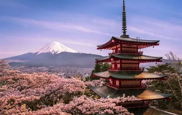 出国旅游千万别贪小便宜,出国游这些禁忌不能碰要谨记