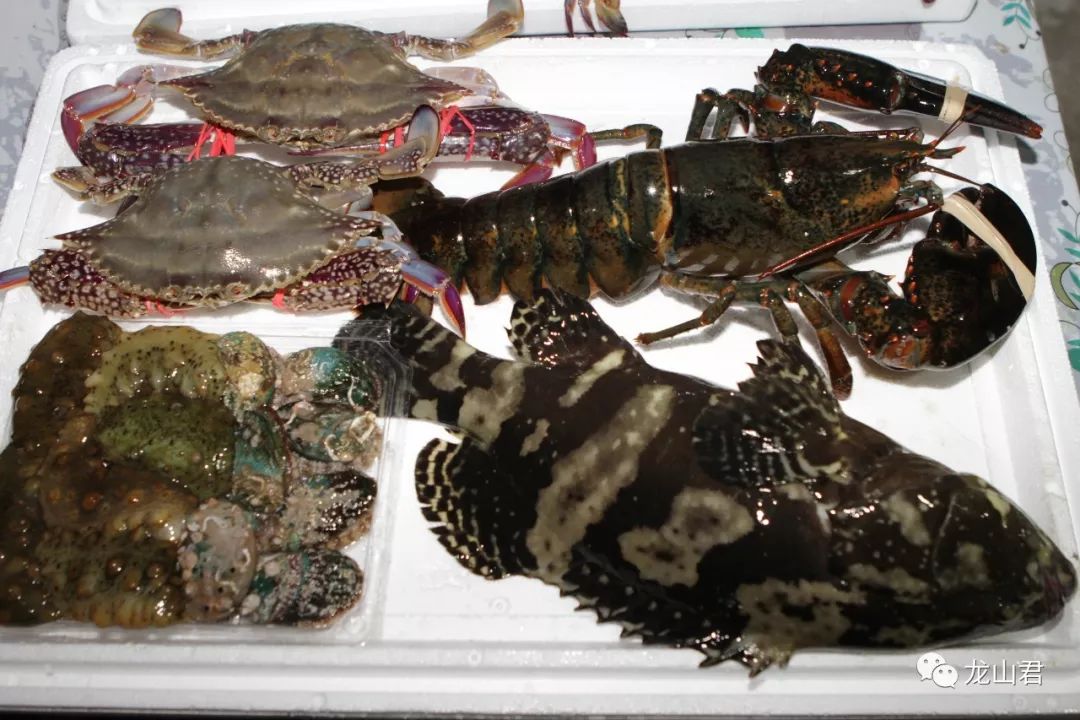 做海鲜生意有哪些技巧,夫妻做餐饮生意的技巧及经验