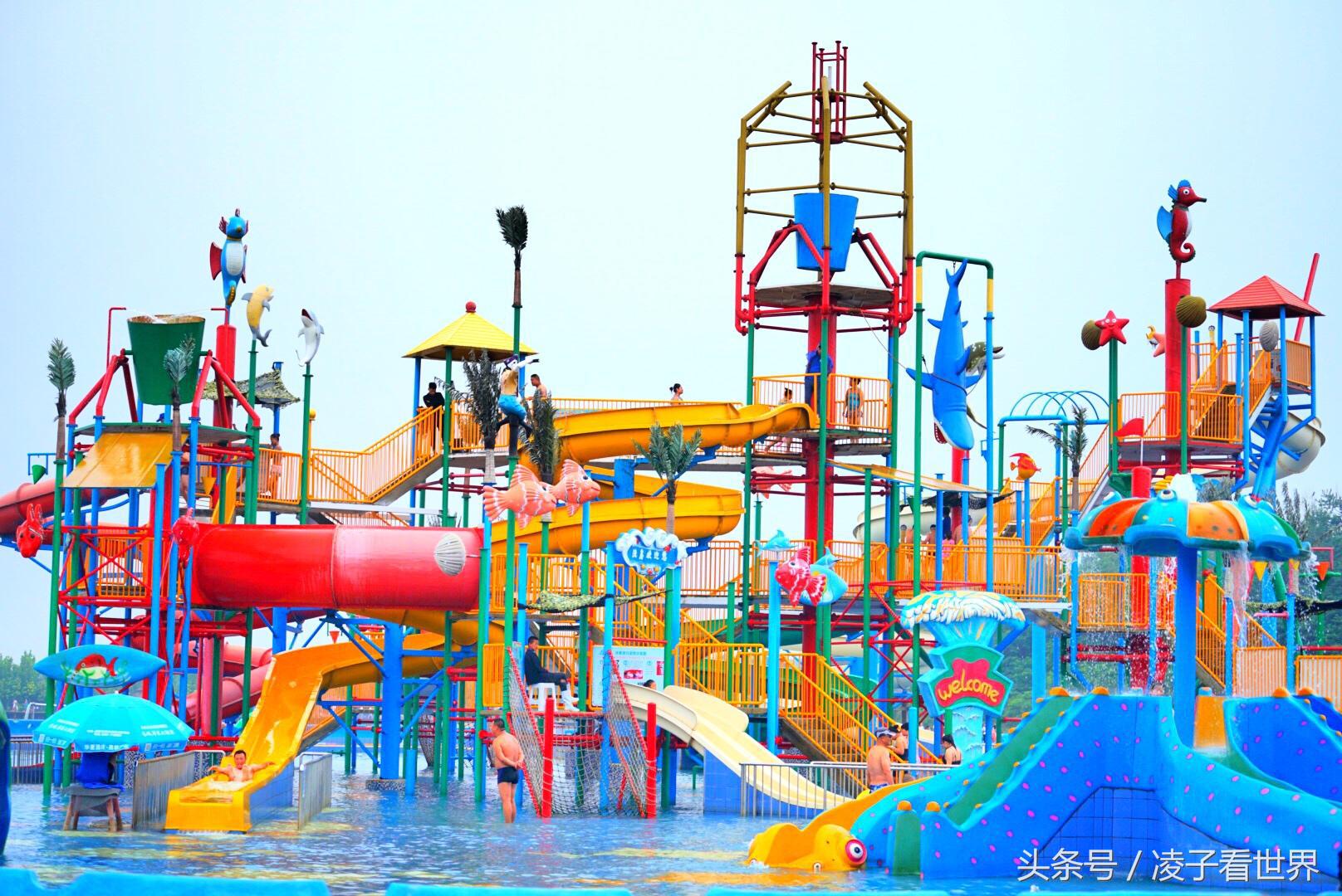 沙滩拾贝壳景区,沙滩花海美景