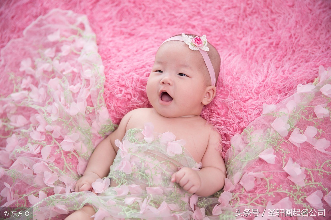 2019年猪年宝宝起名忌讳什么字 (2019猪宝宝取名字忌用)