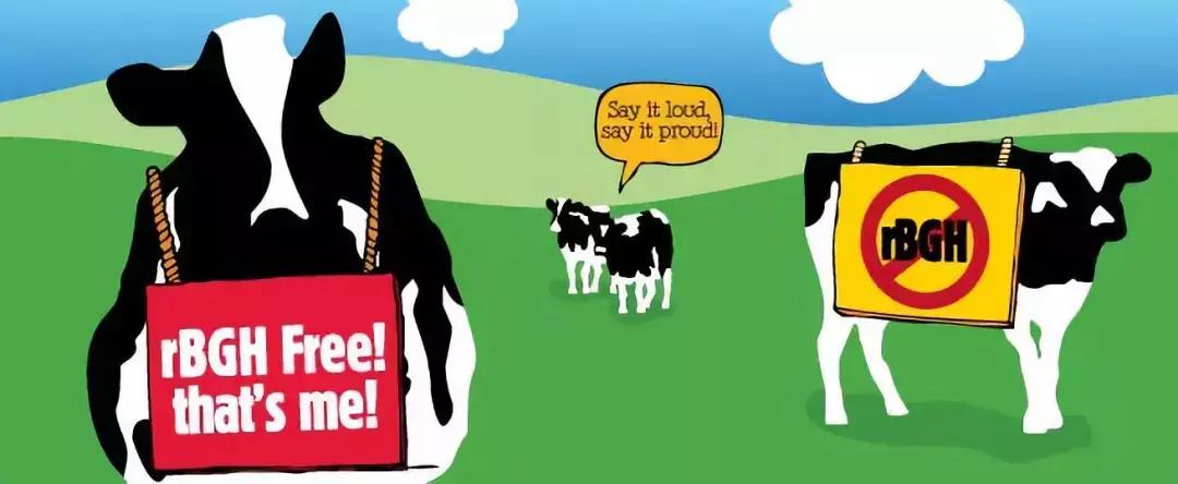 美国沙门氏病毒感染,病毒爆发后的麦当劳