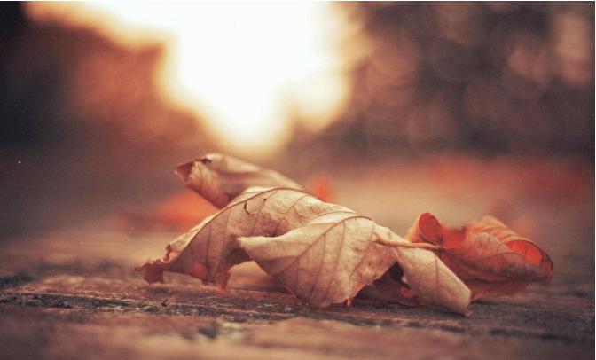 牵引力教育的趋势,牵引力教育的好处