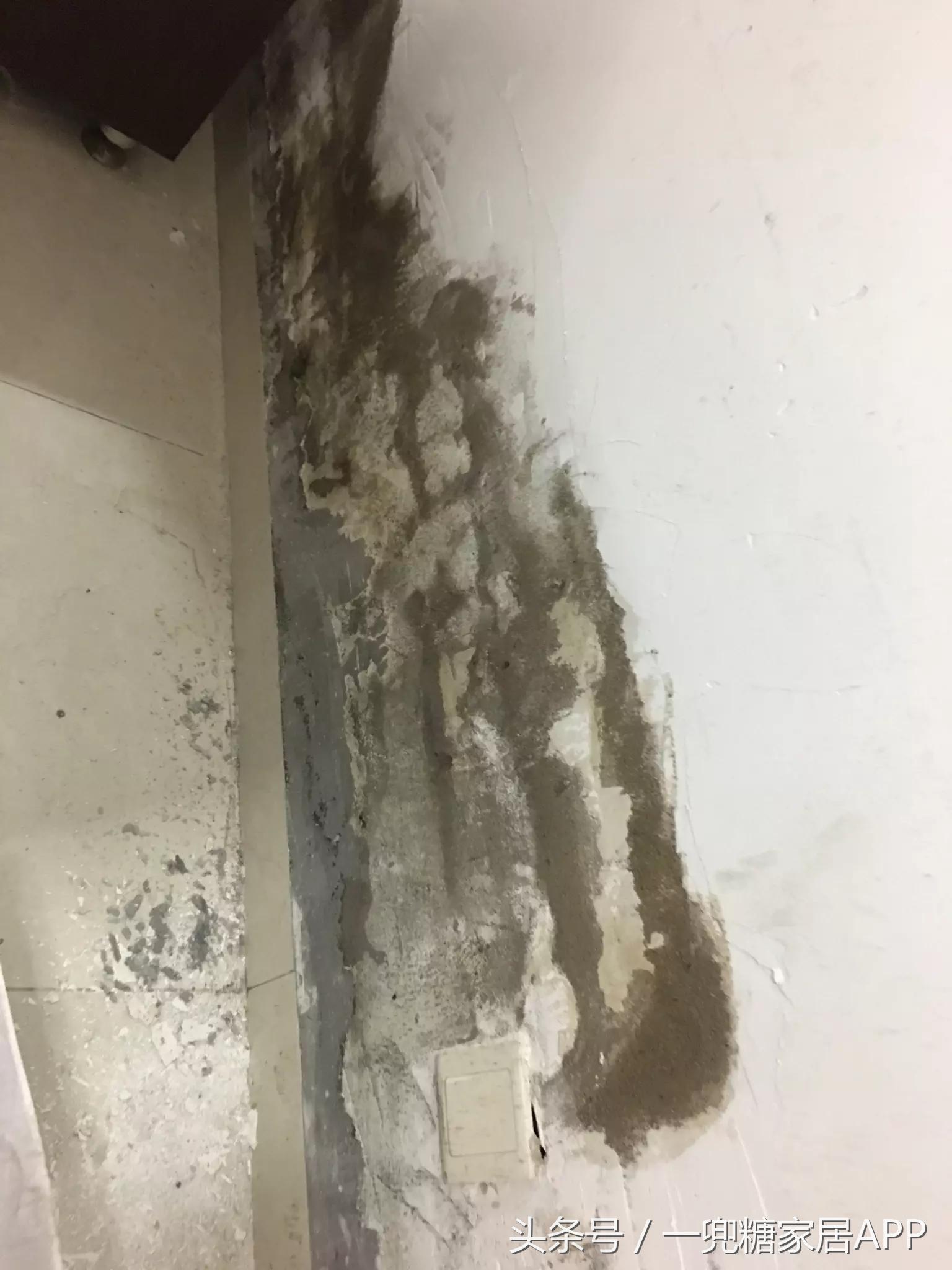 手指褪皮，用坏6对手套，90后美女爆改破旧公寓，是我小瞧你了！