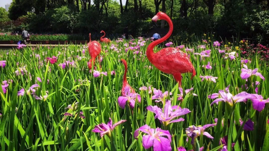 常州十大免费景点,常州所有公园都免费吗