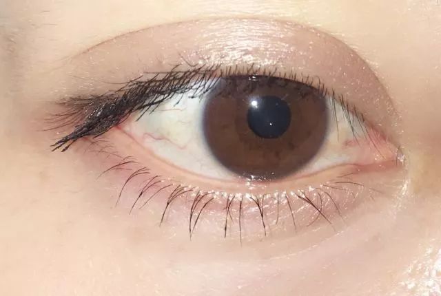 8款热门睫毛膏专业测评，Angelababy最爱的睫毛膏居然垫底了！