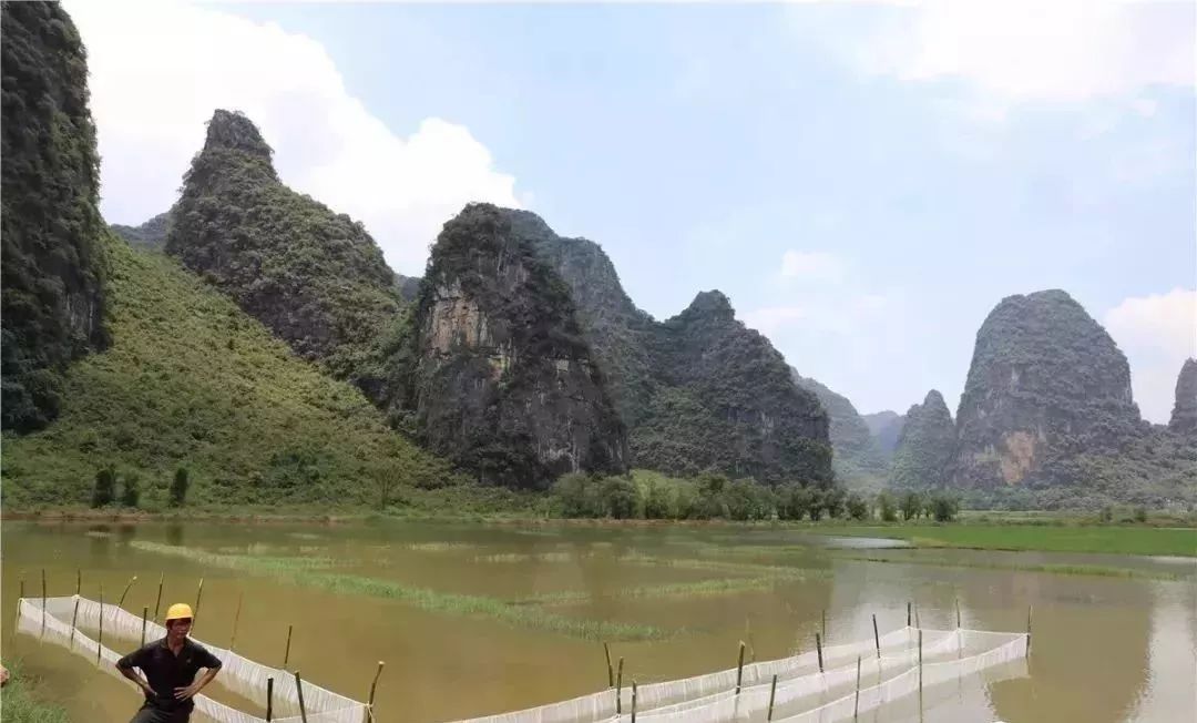 广西贺州农产品展示,贺州特色农产品有哪些