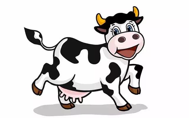 前方有一只很假的牛：HealthyCare牛初乳粉表示很抱歉……