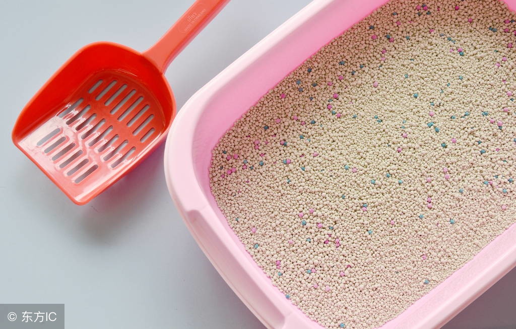 猫咪突然随地大小便怎么办,猫咪绝育后随地大小便怎么回事