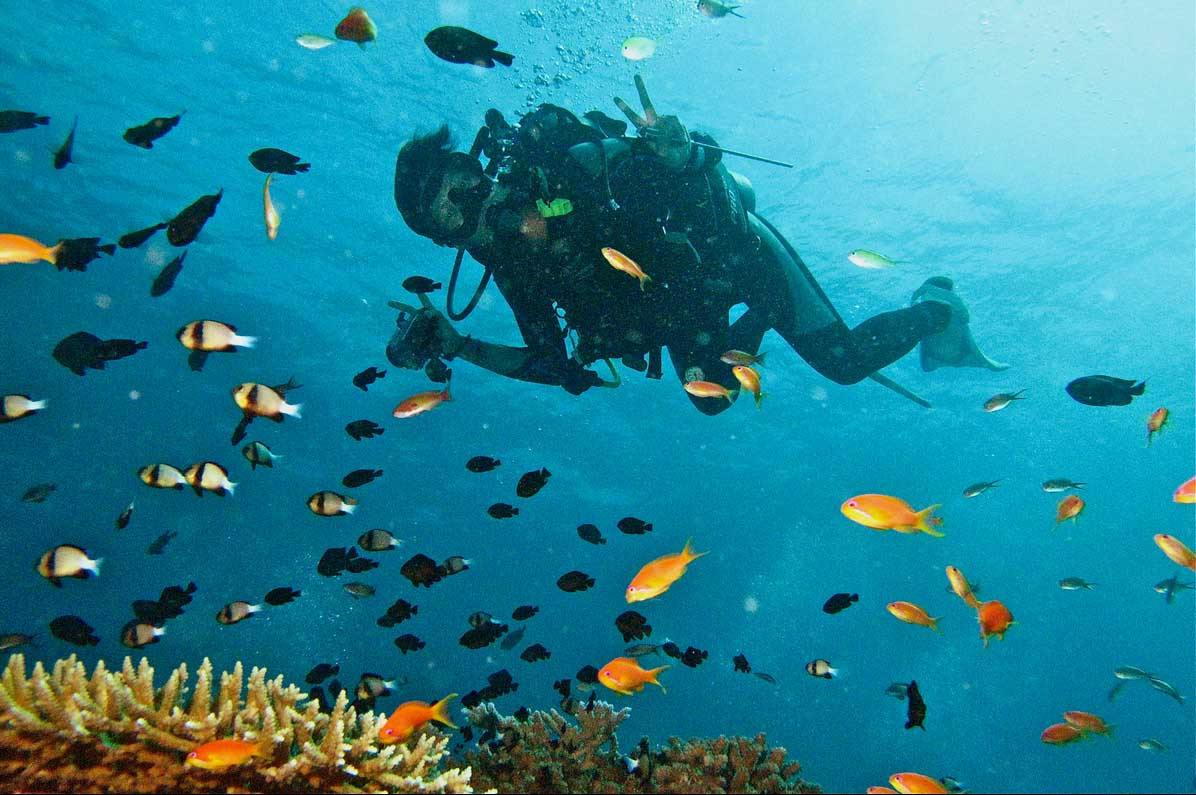 不会游泳可以去海底潜水吗,不会游泳可以体验美人鱼吗