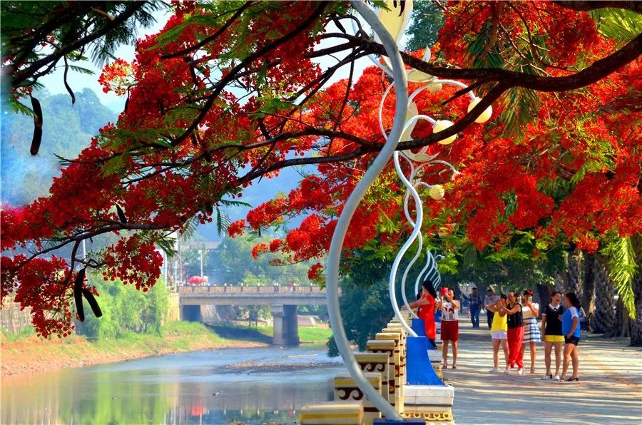 普洱孟连有什么好玩的地方,云南普洱孟连旅游景点攻略