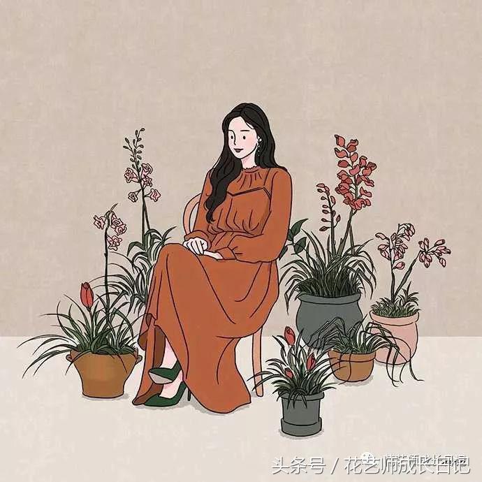 花艺小白怎么选择培训,花艺小白如何插花入门教学