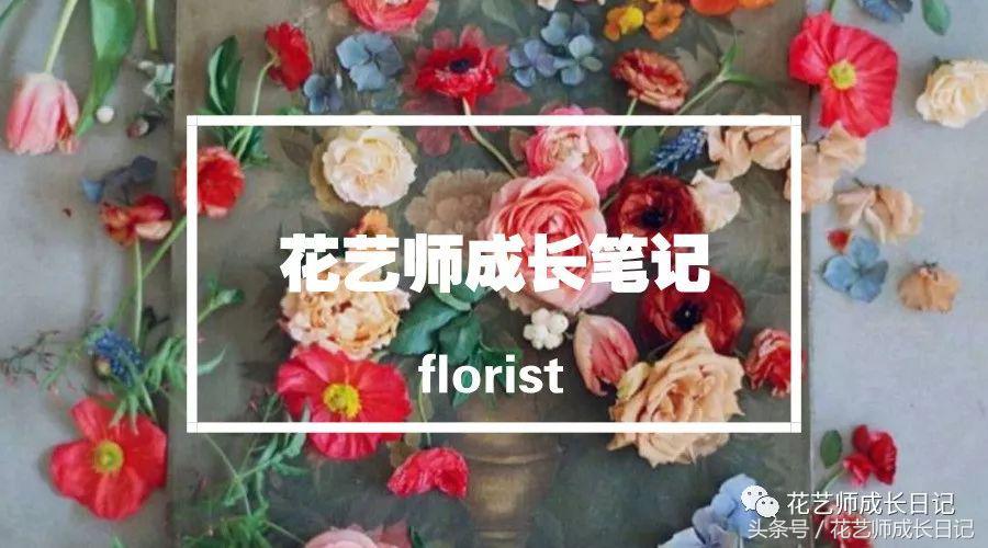做个花艺师的入门基础知识,零基础的小白怎样学习花艺