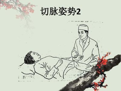 中医诊断学脉诊4,中医诊断学脉诊教学视频