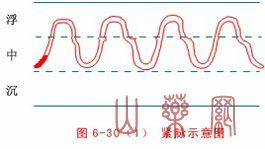 中医诊断学脉诊4,中医诊断学脉诊教学视频