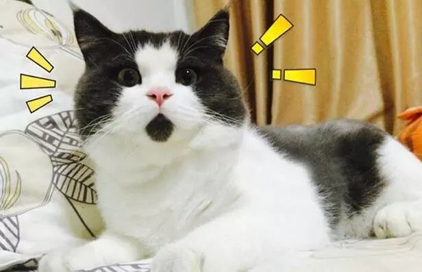 山寨微信发语音是骗人的吗,山寨微信能转发语音吗