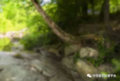 高血压停药的危害,高血压带来的危害有哪些