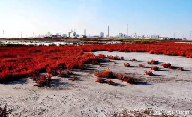 立足生态优势强化发展优势,立足资源禀赋明晰发展思路