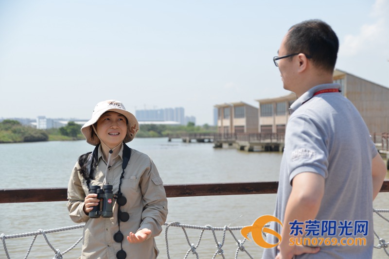 清水绕绿屿，白鹭上青天！沙田这些地方如今变得这么美！