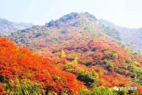 渭南少华山一日游攻略,到少华山旅游攻略