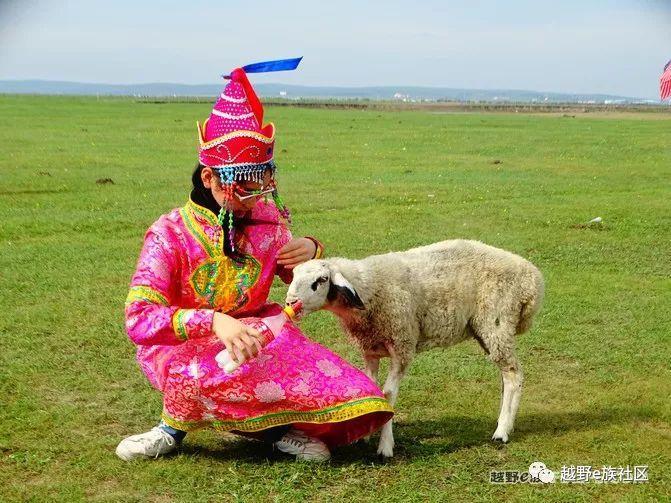 无法忘记的第一次草原之旅,一生必去一次的草原