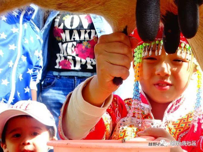 无法忘记的第一次草原之旅,一生必去一次的草原